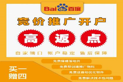 解析百度搜索推广的广告投放策略及效果